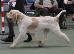 Filename=M-HarrysRock-5.jpg
Filesize=176KiB
Dimensions=800x588
Date added=Mar 23, 2021 M-HarrysRock-5.jpg