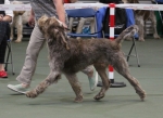Filename=M-Hugo-2.jpg
Filesize=184KiB
Dimensions=800x586
Date added=Mar 23, 2021 M-Hugo-2.jpg