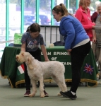 Filename=Mabel_Morrow-10.jpg
Filesize=251KiB
Dimensions=800x834
Date added=Mar 23, 2021 Mabel_Morrow-10.jpg