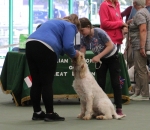 Filename=Mabel_Morrow-11.jpg
Filesize=223KiB
Dimensions=800x695
Date added=Mar 23, 2021 Mabel_Morrow-11.jpg