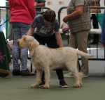 Filename=Mabel_Morrow-15.jpg
Filesize=223KiB
Dimensions=800x772
Date added=Mar 23, 2021 Mabel_Morrow-15.jpg