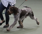 Nom du fichier=T-Ettore-1.jpg
Taille du fichier=173Ko
Dimensions : 800x654
Ajouté le : 23 Mars 2021 T-Ettore-1.jpg