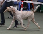 Filename=T-MuckNMagic-1.jpg
Filesize=188KiB
Dimensions=800x637
Date added=Mar 23, 2021 T-MuckNMagic-1.jpg