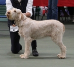 Filename=A-Adrianna.jpg
Filesize=203KiB
Dimensions=800x733
Date added=Mar 23, 2021 A-Adrianna.jpg