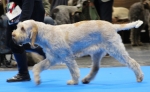 Filename=Aurelia-The_Explorer-2.jpg
Filesize=148KiB
Dimensions=800x491
Date added=Mar 23, 2021 Aurelia-The_Explorer-2.jpg