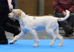 Filename=T-BlueberryHill-1.jpg
Filesize=151KiB
Dimensions=800x566
Date added=Mar 23, 2021 T-BlueberryHill-1.jpg