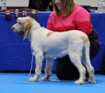 Filename=T-BlueberryHill-2.jpg
Filesize=209KiB
Dimensions=800x712
Date added=Mar 23, 2021 T-BlueberryHill-2.jpg