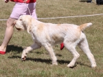Filename=A-HappyEverAfter.jpg
Filesize=257KiB
Dimensions=800x604
Date added=Mar 23, 2021 A-HappyEverAfter.jpg