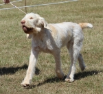 Filename=A-Happy_EverAfter-1.jpg
Filesize=326KiB
Dimensions=800x733
Date added=Mar 23, 2021 A-Happy_EverAfter-1.jpg