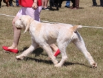 Filename=A-Happy_EverAfter-2.jpg
Filesize=276KiB
Dimensions=800x608
Date added=Mar 23, 2021 A-Happy_EverAfter-2.jpg