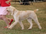Filename=A-Happy_EverAfter-3.jpg
Filesize=221KiB
Dimensions=800x607
Date added=Mar 23, 2021 A-Happy_EverAfter-3.jpg