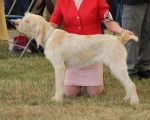 Filename=A-Happy_EverAfter-4.jpg
Filesize=251KiB
Dimensions=800x642
Date added=Mar 23, 2021 A-Happy_EverAfter-4.jpg