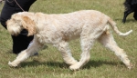 Filename=P-TootsieRoll-2.jpg
Filesize=190KiB
Dimensions=800x459
Date added=Mar 23, 2021 P-TootsieRoll-2.jpg