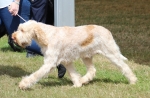 Filename=T-HeyJude-2.jpg
Filesize=223KiB
Dimensions=800x527
Date added=Mar 23, 2021 T-HeyJude-2.jpg