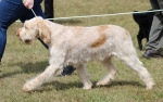 Filename=T-HeyJude.jpg
Filesize=204KiB
Dimensions=800x503
Date added=Mar 23, 2021 T-HeyJude.jpg