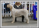 Filename=Aurelia-TheExplorer.jpg
Filesize=136KiB
Dimensions=1000x723
Date added=Mar 23, 2021 Aurelia-TheExplorer.jpg