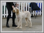 Filename=B_ItSATenFromLen.jpg
Filesize=129KiB
Dimensions=1000x756
Date added=Mar 23, 2021 B_ItSATenFromLen.jpg