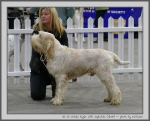 Filename=C_Eagle.jpg
Filesize=135KiB
Dimensions=1000x810
Date added=Mar 23, 2021 C_Eagle.jpg