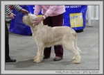 Filename=G_FlowersGayGossip.jpg
Filesize=133KiB
Dimensions=1000x721
Date added=Mar 23, 2021 G_FlowersGayGossip.jpg