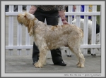 Filename=N_HeSTheOne.jpg
Filesize=126KiB
Dimensions=1000x742
Date added=Mar 23, 2021 N_HeSTheOne.jpg