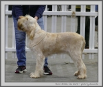 Filename=R_Abrielle.jpg
Filesize=131KiB
Dimensions=1000x853
Date added=Mar 23, 2021 R_Abrielle.jpg