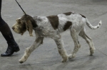 Filename=O-PecanPie.jpg
Filesize=153KiB
Dimensions=800x532
Date added=Mar 23, 2021 O-PecanPie.jpg