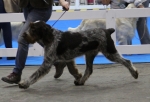 Filename=T-Ettore-1.jpg
Filesize=156KiB
Dimensions=800x544
Date added=Mar 23, 2021 T-Ettore-1.jpg
