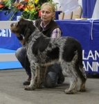 Filename=T-Ettore-2.jpg
Filesize=261KiB
Dimensions=800x835
Date added=Mar 23, 2021 T-Ettore-2.jpg