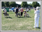 Filename=DogWinners.jpg
Filesize=494KiB
Dimensions=1335x1000
Date added=Mar 23, 2021 DogWinners.jpg