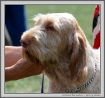Filename=I_BlueLantern_1.jpg
Filesize=147KiB
Dimensions=1068x1000
Date added=Mar 23, 2021 I_BlueLantern_1.jpg