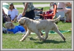 Filename=K_EbrelFyllys.jpg
Filesize=257KiB
Dimensions=1454x1000
Date added=Mar 23, 2021 K_EbrelFyllys.jpg