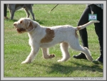 Filename=M_HarrysRock.jpg
Filesize=301KiB
Dimensions=1313x1000
Date added=Mar 23, 2021 M_HarrysRock.jpg