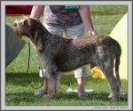 Filename=M_Hugo.jpg
Filesize=287KiB
Dimensions=1197x1000
Date added=Mar 23, 2021 M_Hugo.jpg
