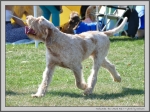 Filename=T_TheWizardAndI_1.jpg
Filesize=326KiB
Dimensions=1332x1000
Date added=Mar 23, 2021 T_TheWizardAndI_1.jpg