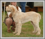 Filename=L_GingerBiscuit.jpg
Filesize=219KiB
Dimensions=1145x1000
Date added=Mar 23, 2021 L_GingerBiscuit.jpg