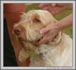 Filename=M_HarrysRock_1.jpg
Filesize=163KiB
Dimensions=1082x1000
Date added=Mar 23, 2021 M_HarrysRock_1.jpg