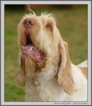 Filename=M_HarrysRock_2.jpg
Filesize=131KiB
Dimensions=1000x1160
Date added=Mar 23, 2021 M_HarrysRock_2.jpg