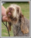 Filename=M_Hugo_2.jpg
Filesize=224KiB
Dimensions=1000x1225
Date added=Mar 23, 2021 M_Hugo_2.jpg