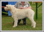 Filename=M_WhiteBryony.jpg
Filesize=322KiB
Dimensions=1329x1000
Date added=Mar 23, 2021 M_WhiteBryony.jpg