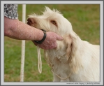 Filename=M_WhiteBryony_1.jpg
Filesize=158KiB
Dimensions=1211x1000
Date added=Mar 23, 2021 M_WhiteBryony_1.jpg