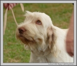 Filename=M_WhiteBryony_2.jpg
Filesize=130KiB
Dimensions=1158x1000
Date added=Mar 23, 2021 M_WhiteBryony_2.jpg