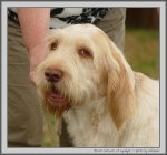 Filename=R_Carluccio.jpg
Filesize=159KiB
Dimensions=1071x1000
Date added=Mar 23, 2021 R_Carluccio.jpg