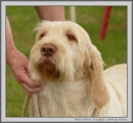 Filename=R_Carluccio_1.jpg
Filesize=140KiB
Dimensions=1073x1000
Date added=Mar 23, 2021 R_Carluccio_1.jpg