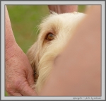 Filename=R_Carluccio_3.jpg
Filesize=113KiB
Dimensions=1043x1000
Date added=Mar 23, 2021 R_Carluccio_3.jpg