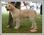 Filename=R_Carluccio_4.jpg
Filesize=317KiB
Dimensions=1232x1000
Date added=Mar 23, 2021 R_Carluccio_4.jpg