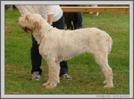 Filename=S_Portia.jpg
Filesize=319KiB
Dimensions=1350x1000
Date added=Mar 23, 2021 S_Portia.jpg