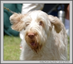 Filename=G_FlowersGayGossip_2.jpg
Filesize=136KiB
Dimensions=1000x885
Date added=Mar 23, 2021 G_FlowersGayGossip_2.jpg