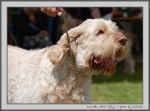 Filename=K_EbrelFyllys_3.jpg
Filesize=132KiB
Dimensions=1000x744
Date added=Mar 23, 2021 K_EbrelFyllys_3.jpg