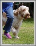Filename=K_GoodWillhuntin_2.jpg
Filesize=219KiB
Dimensions=800x1000
Date added=Mar 23, 2021 K_GoodWillhuntin_2.jpg