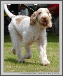 Filename=K_GoodWillhuntin_3.jpg
Filesize=197KiB
Dimensions=829x1000
Date added=Mar 23, 2021 K_GoodWillhuntin_3.jpg